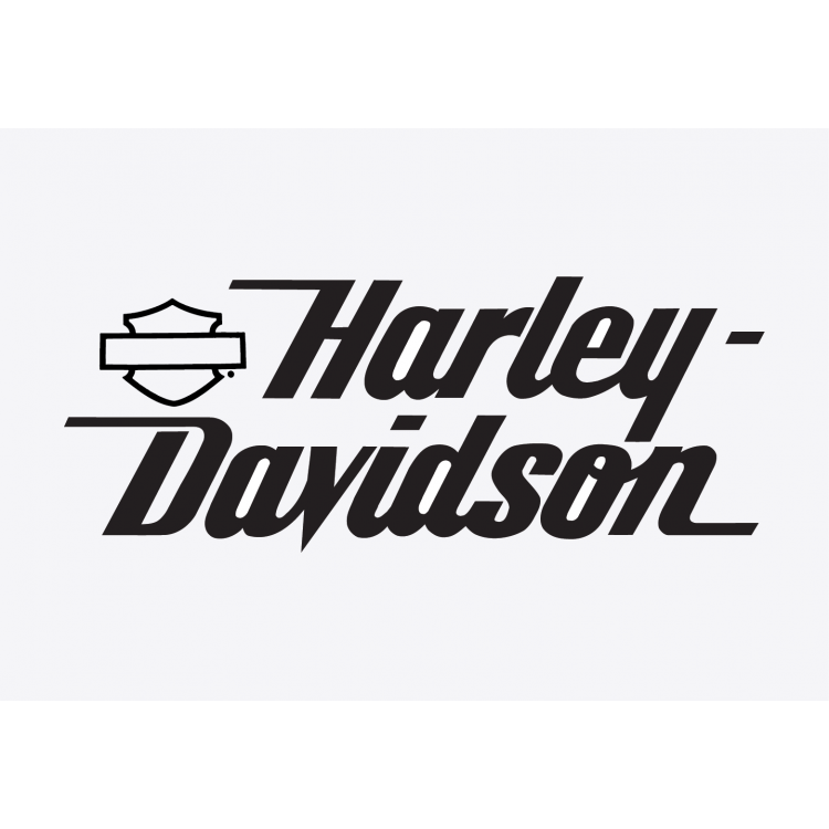 Harley Davidson Badge 2 Adhesive Vinyl Sticker Demon Graphics